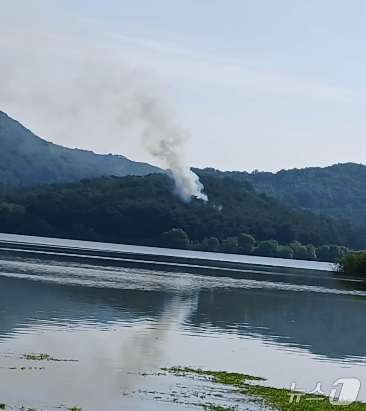 7일 오전 8시35분께 전북 고창군 공읍면의 한 야산에서 불이 나 1시간 20여분 만에 꺼졌다.(산림당국 제공. 재판매 및 DB금지)2025.6.7/뉴스1