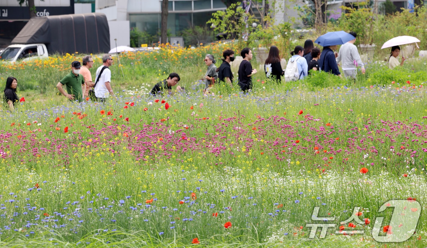 자료사진/뉴스1 ⓒ News1 