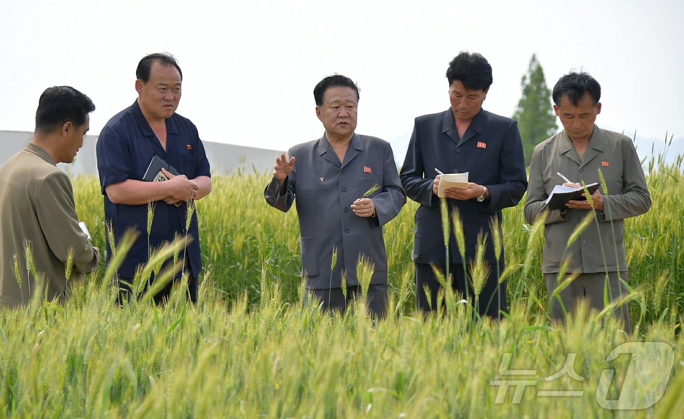 (평양 노동신문=뉴스1) = 북한 노동당 기관지 노동신문은 8일 최룡해 최고인민회의 상임위원장이 황해남도의 여러 부문 사업을 현지에서 료해(파악)했다고 보도했다. [국내에서만 사용가능. 재배포 금지. DB 금지. For Use Only in the Republic of Korea. Redistribution Prohibited] rodongphoto@news1.kr