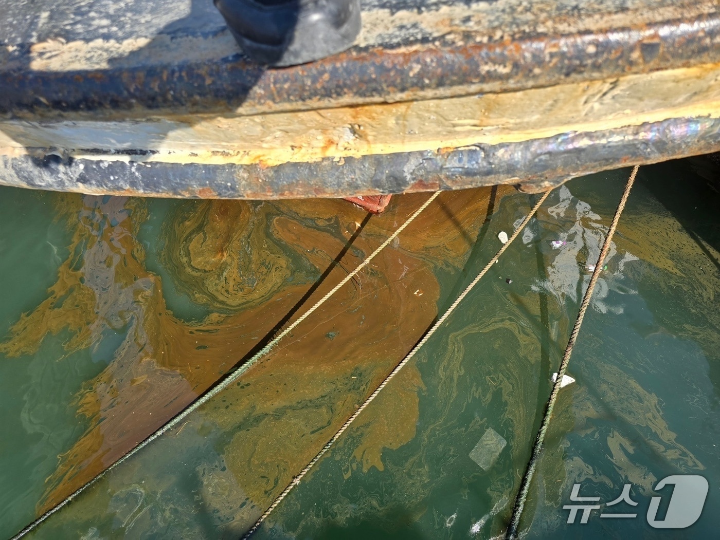 지난 5일 오전 8시쯤 여수시 국동항 내 한 냉동창고 앞 해상에서 기름 유출 신고가 접수돼 해경이 방제작업하고 있다.(여수해경 제공. 재판매 및 DB 금지)