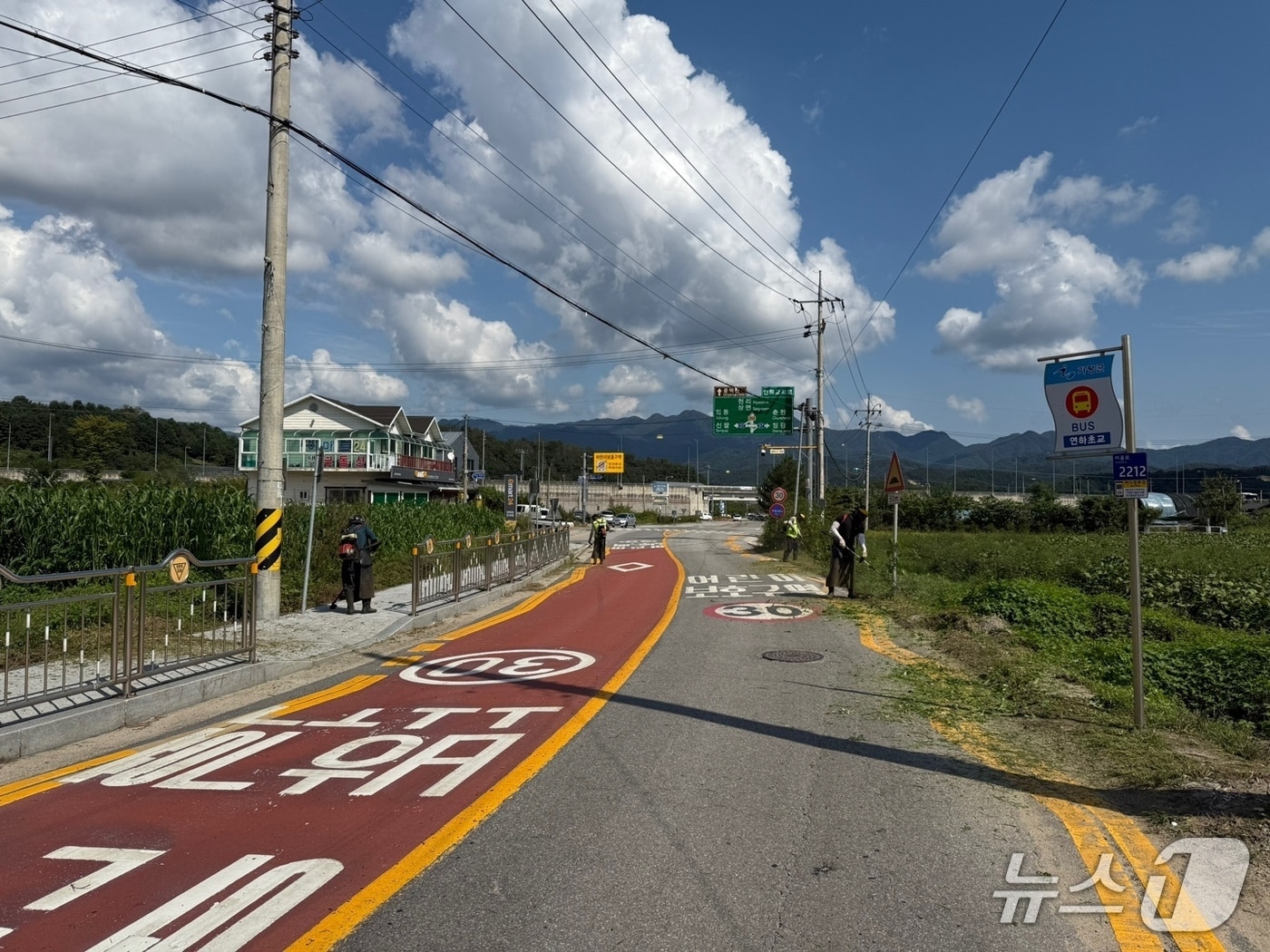  예초작업 중인 모습(경기 가평군 제공. 재판매 및 DB 금지)/뉴스1