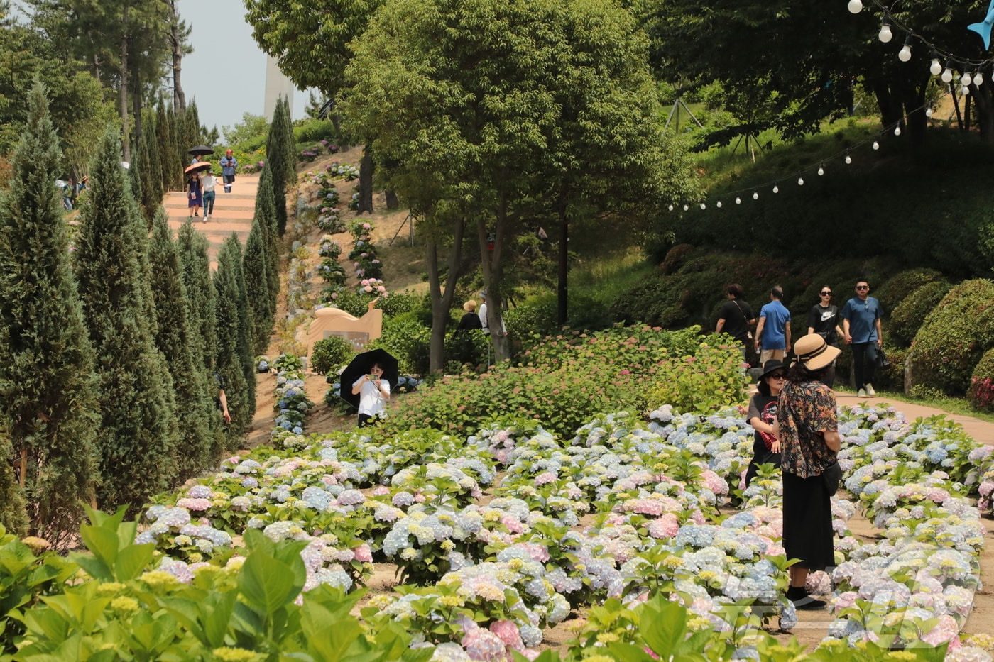 자료사진 ⓒ News1 