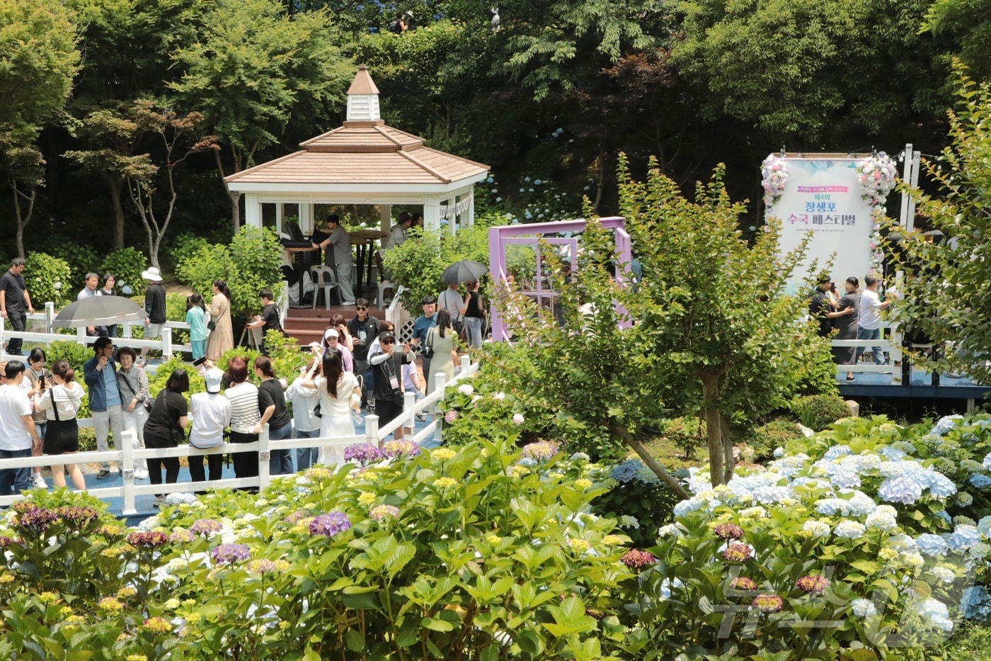 8일 울산 남구 장생포 고래문화마을 일원에서 ‘제4회 장생포 수국 페스티벌’이 열려 나들이객로 붐비고 있다. 2025.6.8/뉴스1 ⓒ News1 김세은 기자