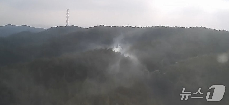 태안 원북면 이곡리 산불 현장. (산림청 제공, 재판매 및 DB금지) / 뉴스1 