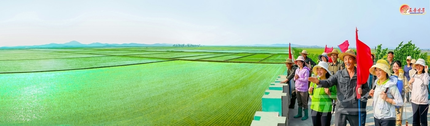 (평양 노동신문=뉴스1) = 북한 노동당 기관지 노동신문은 9일 "전국적으로 불리한 기상조건에서도 기본면적의 모내기를 적기에 결속했다＂면서 주민들을 독려했다. [국내에서만 사용가능. 재배포 금지. DB 금지. For Use Only in the Republic of Korea. Redistribution Prohibited] rodongphoto@news1.kr