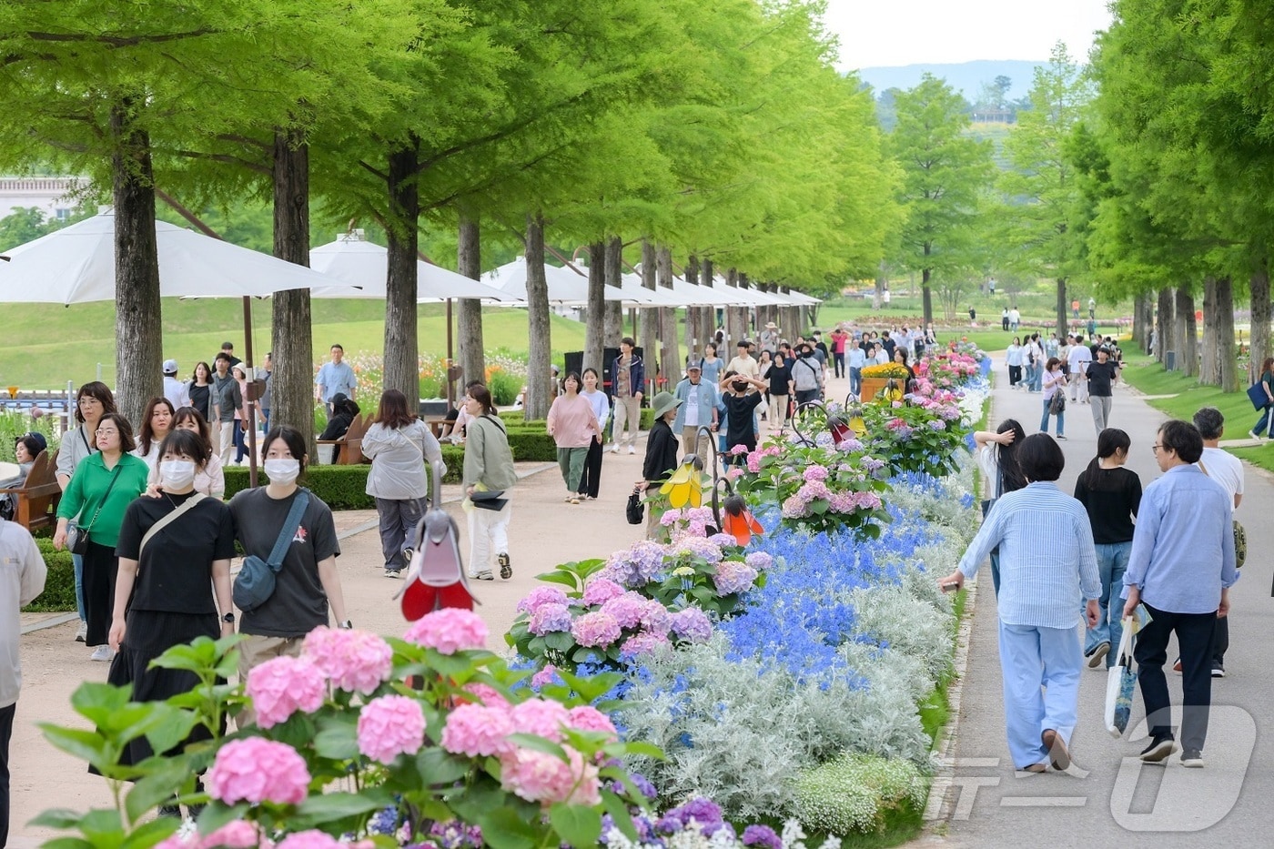 순천만국가정원 전경.(순천시 제공. 재판매 및 DB 금지) ⓒ News1DB