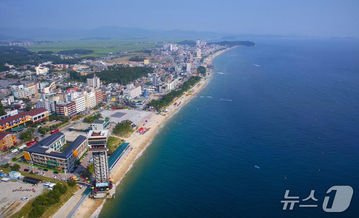  대천해수욕장 해변 모습.(충남도 제공. 재판매 및 DB금지)/뉴스1