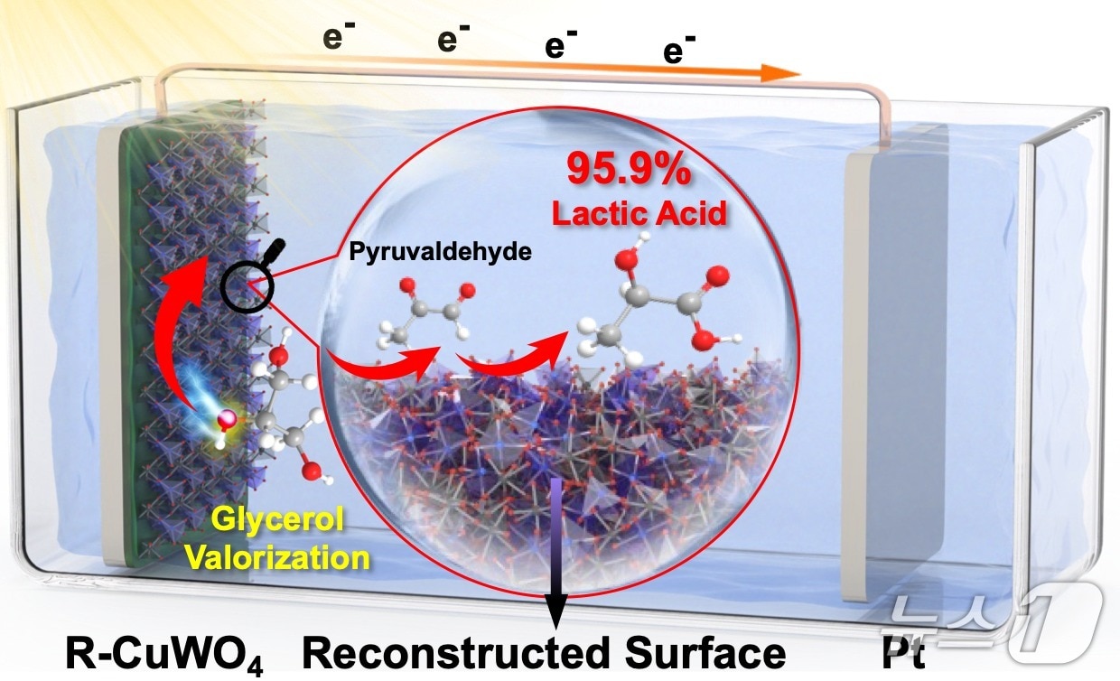 전극 촉매를 활용한 글리세롤-유산 전환(한국연구재단 제공) /뉴스1