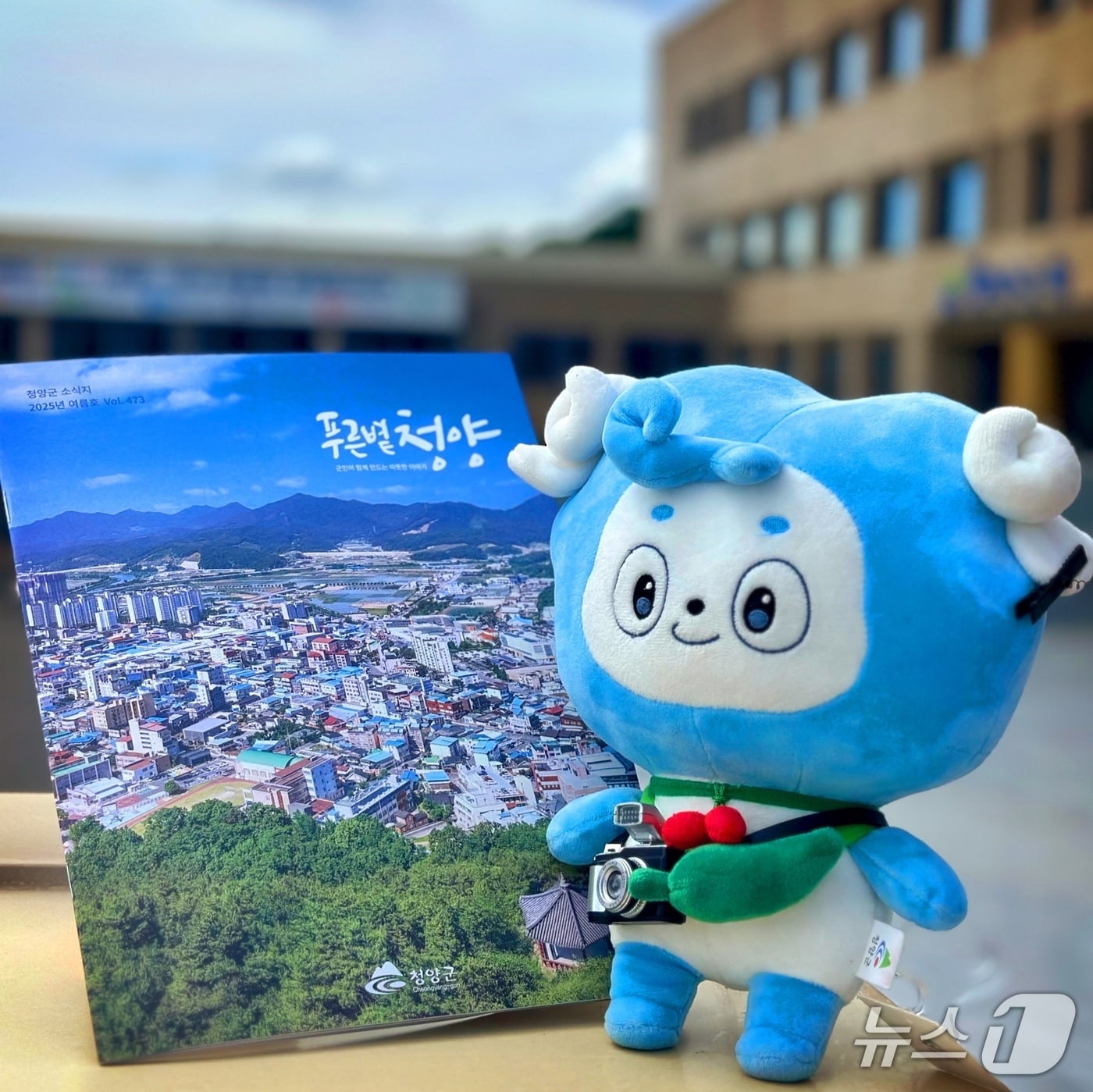 개편된 소식지 ‘푸른볕 청양’의 모습. (청양군 제공. 재판매 및 DB금지)2025.7.1/뉴스1