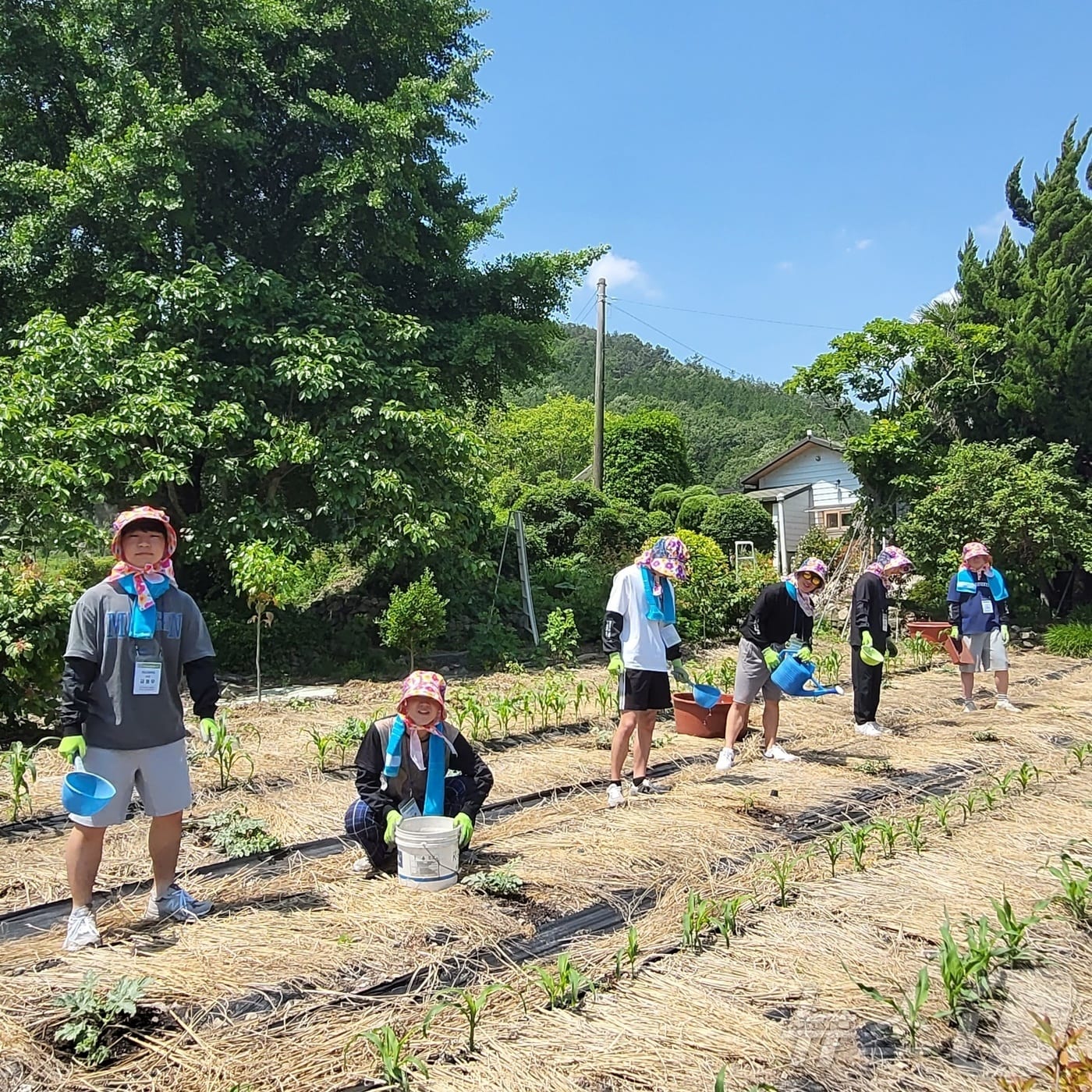 전남 강진군의 농어촌 체험 민박 프로그램인 &#39;학생푸소&#39;.&#40;강진군 제공, 재배포 및 DB 금지&#41; /뉴스1