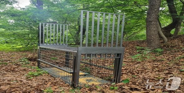 파주 대성동에 설치된 멧돼지 포획틀. (파주시 제공, 재판매 및 DB금지)