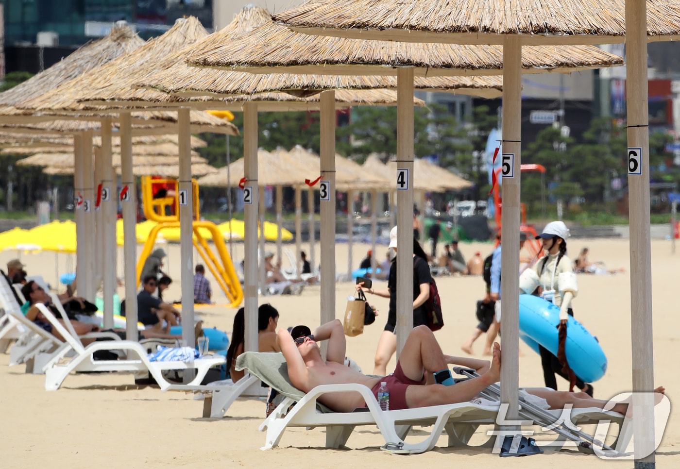 무더위가 기승을 부린 이달 1일 개장한 부산 수영구 광안리해수욕장의 모습.  ⓒ News1 윤일지 기자
