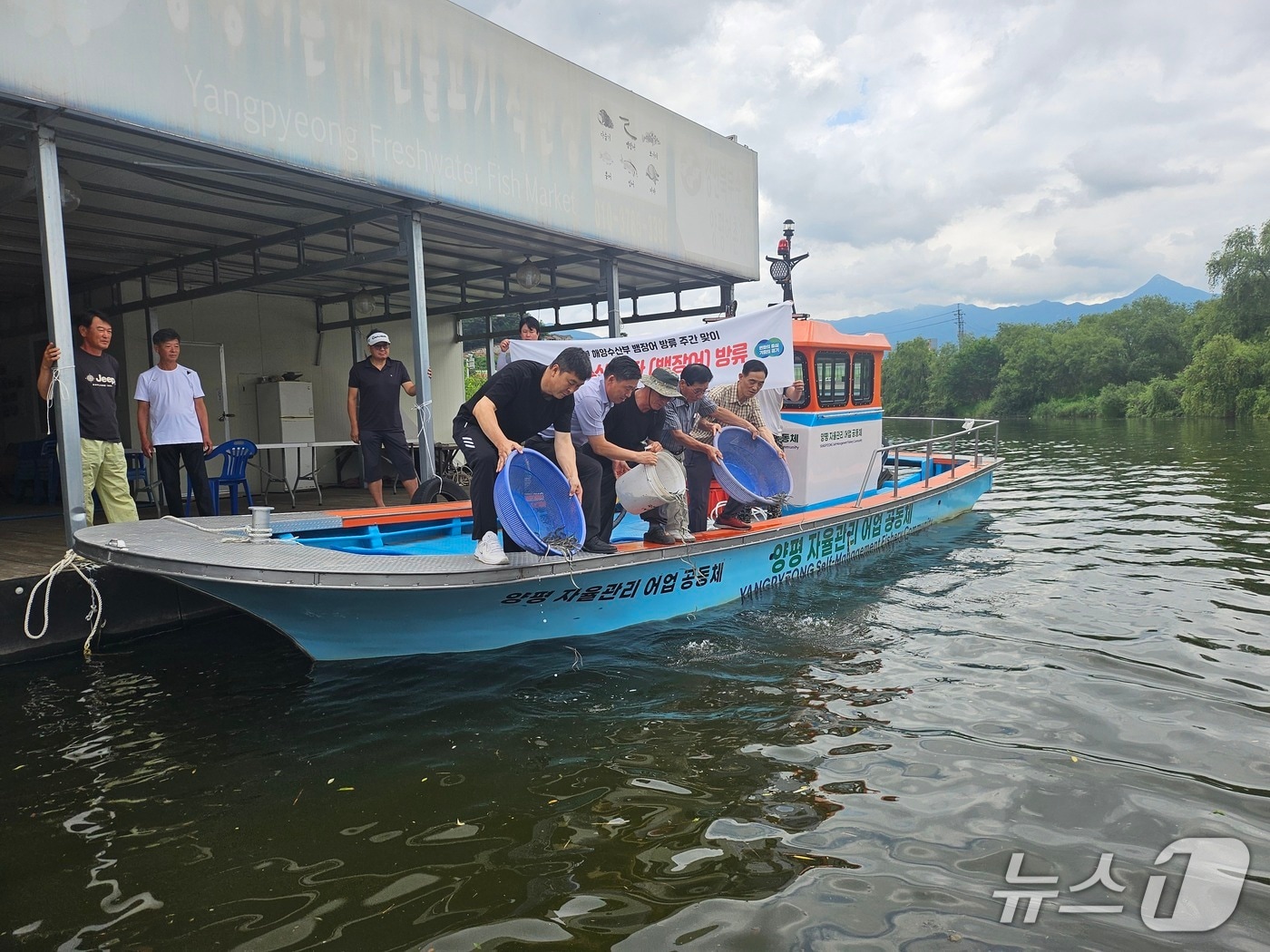 실뱀장어 방류 모습(양평군 제공. 재판매 및 DB 금지)/뉴스1