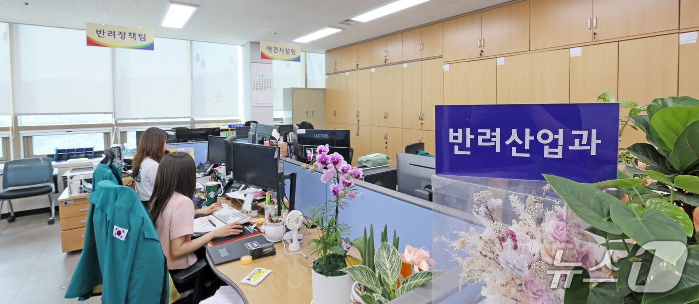 전북 임실군이 대한민국 반려동물 성지로 도약을 위해 전담 부서를 신설했다.(임실군제공. 재판매 및 DB금지)2025.7.10/뉴스1