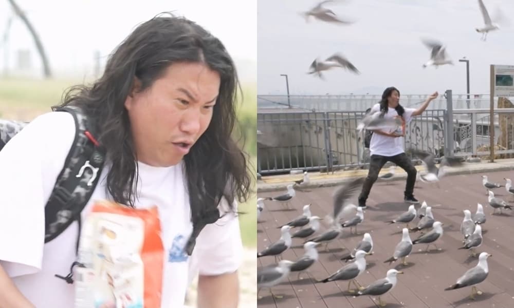 MBC '나 혼자 산다'