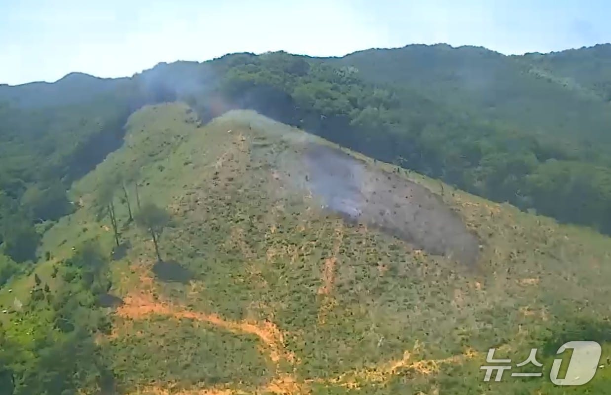  논산 양촌면 석서리 산불 현장. (산림청 제공, 재판매 및 DB금지) / 뉴스1