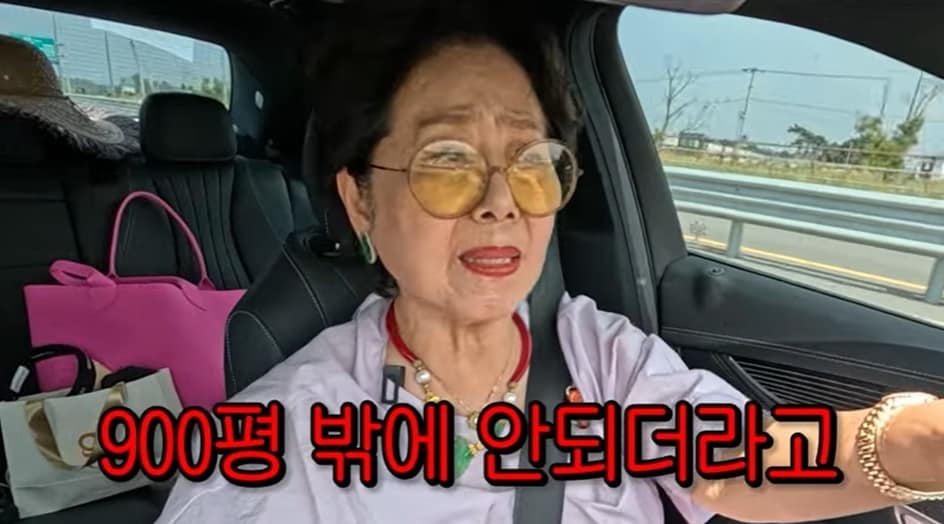 (유튜브 채널 '순풍 선우용여' 갈무리)