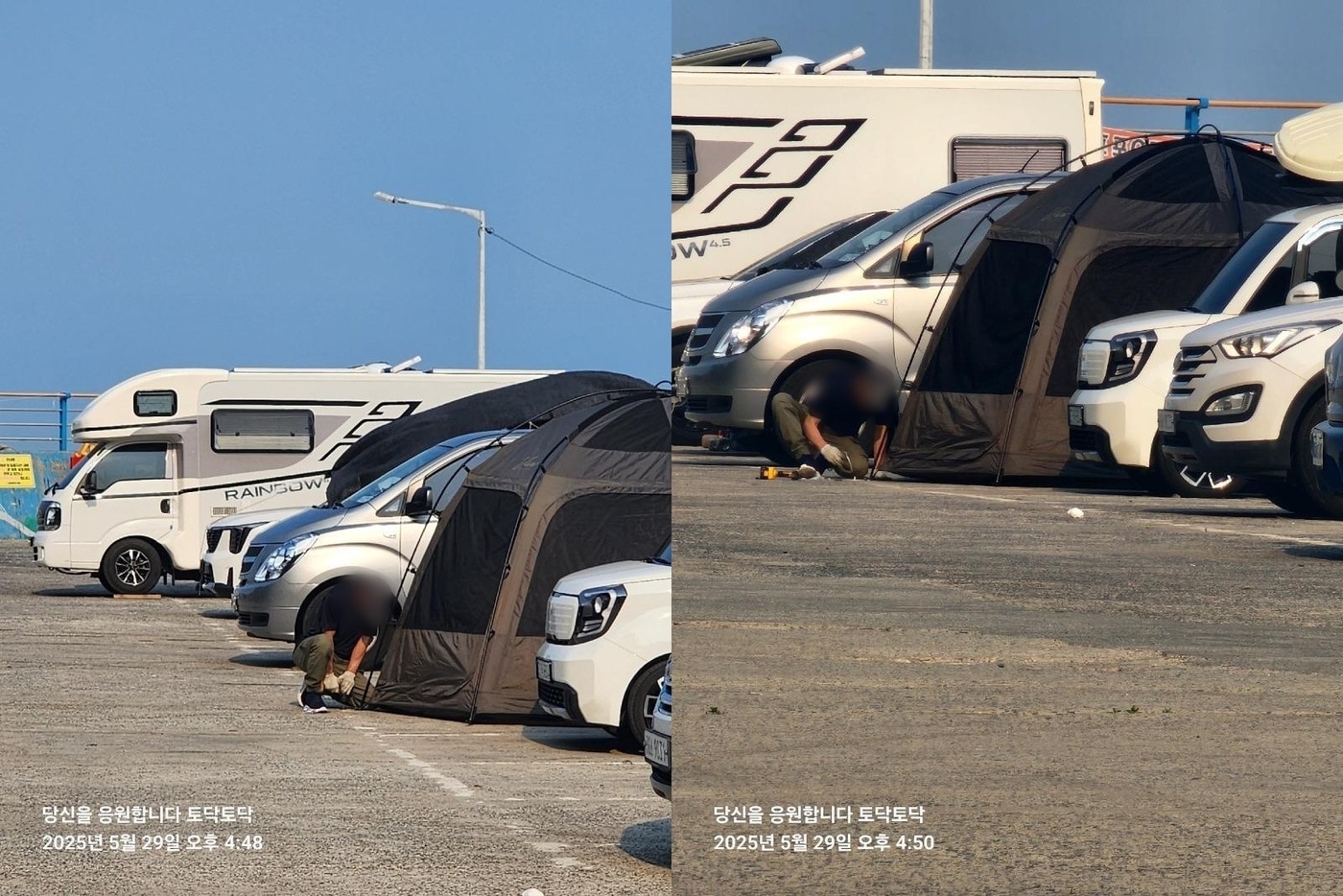 (보배드림 갈무리)