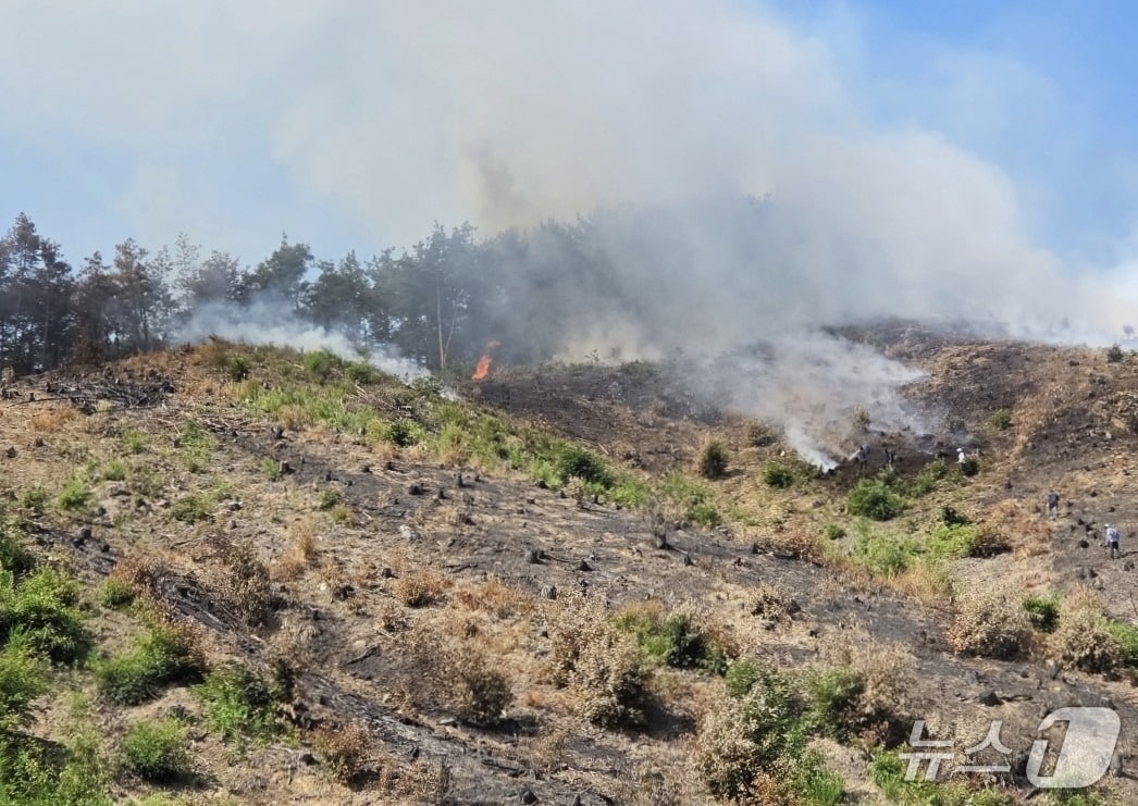 10일 오후 2시 33분쯤 충북 영동군 양강면 죽촌리 야산 벌목장에서 불이 나 3시간여 만에 주불을 잡았다.(영동소방서 제공, 재판매 및 DB금지) /뉴스1 