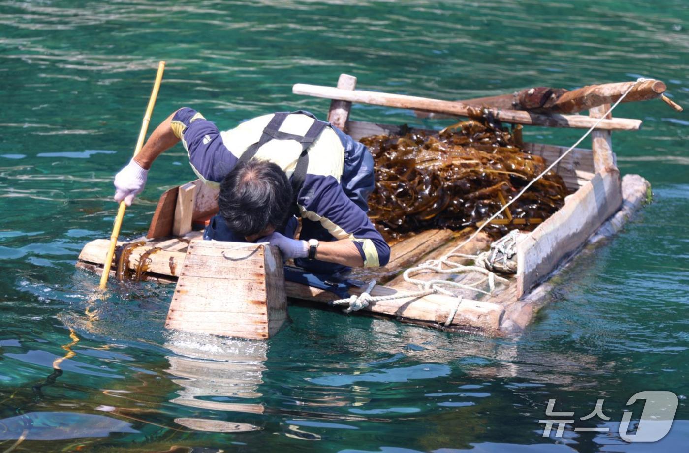 국가중요어업 유산으로 지정된 강릉 창경바리 어업.(강릉시 제공, 재판매 및 DB 금지) 2025.711/뉴스1