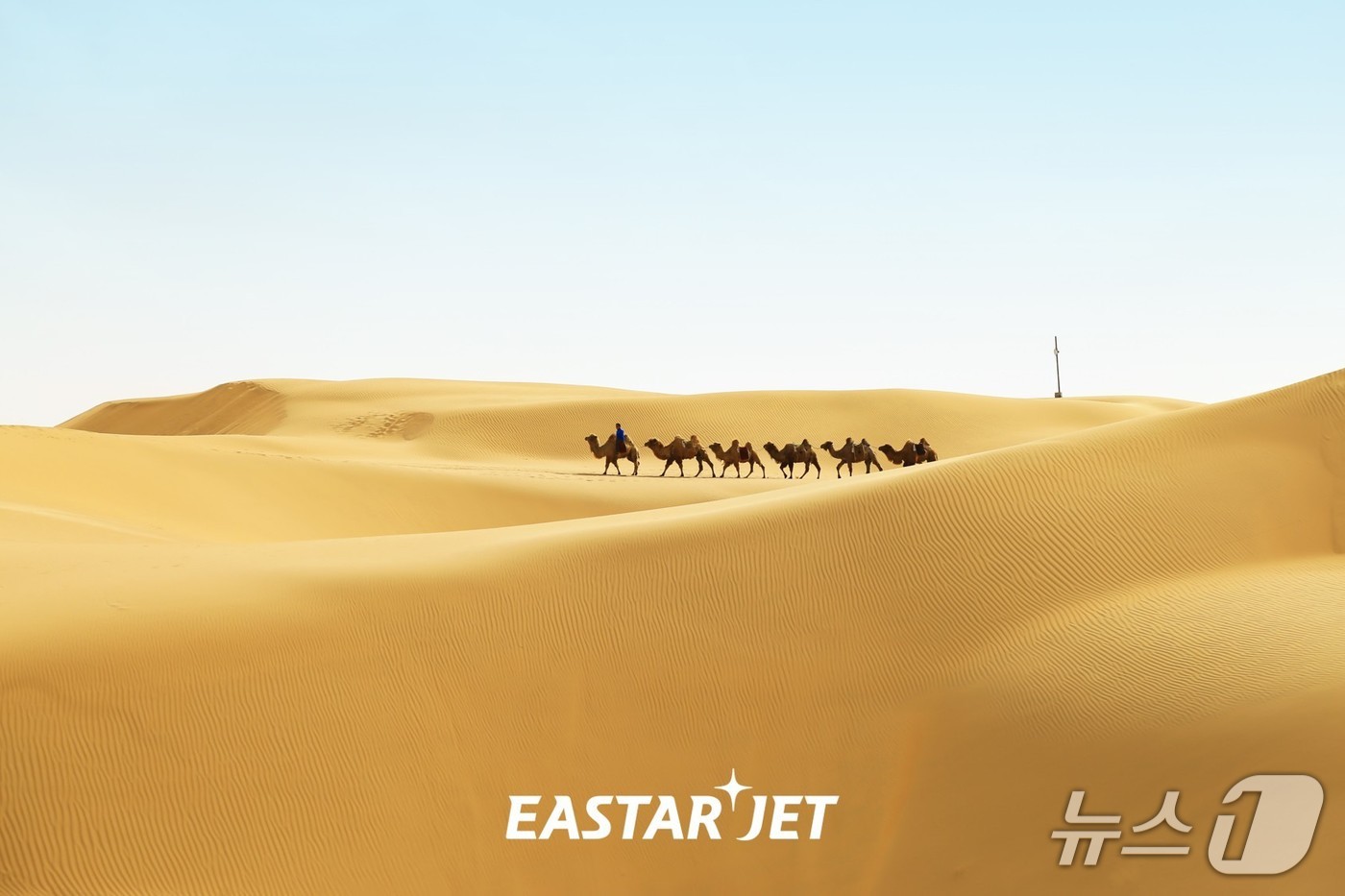 (이스타항공 제공)