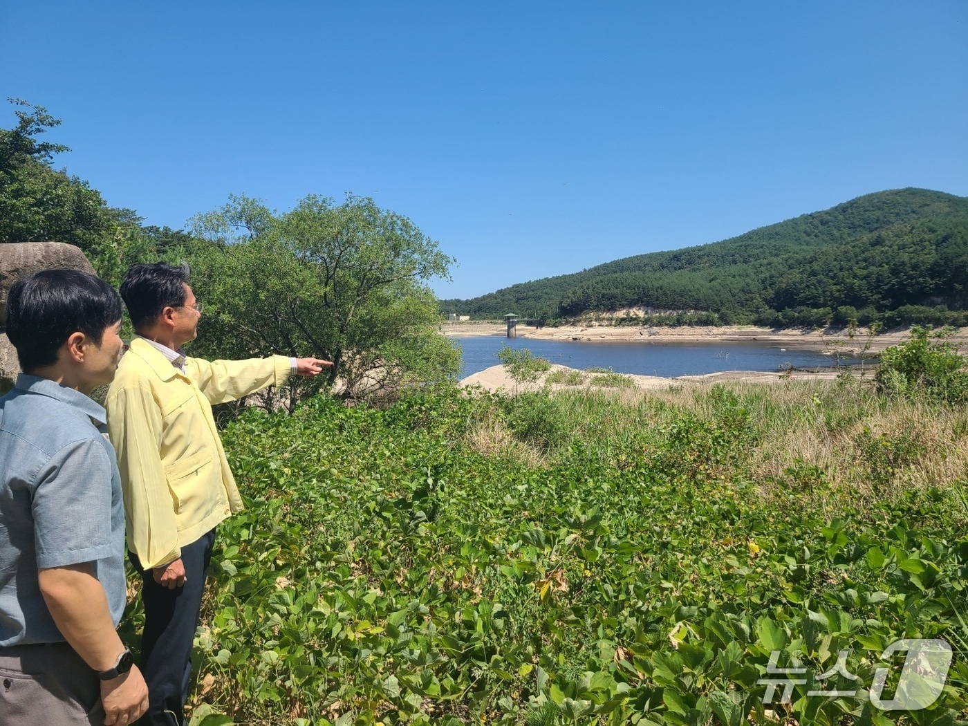 농협중앙회 강원본부는 10일 속초 등 영동지역을 찾아 가뭄피해 현장을 점검했다.(농협 강원본부 제공. 재판매 및 DB금지)/뉴스1