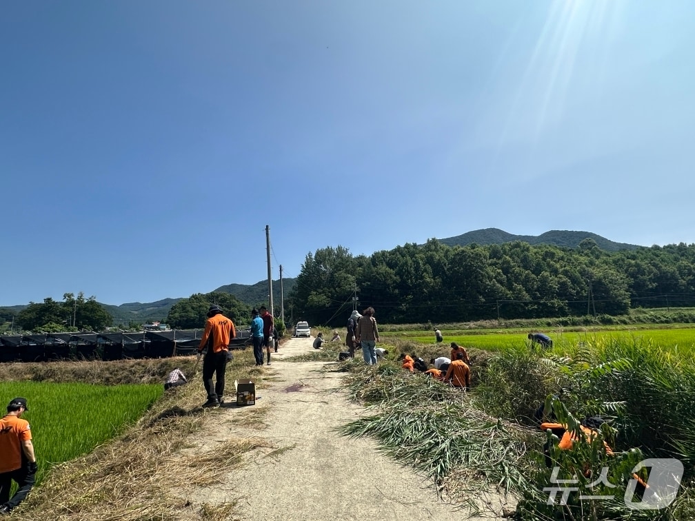 11일 오전 7시 45분쯤 충북 보은군 보은읍 누청2길 인근에서 농업용 드론을 사용하다 60대  남성이 다쳤다.(보은소방서 제공, 재판매 및 DB금지) /뉴스1