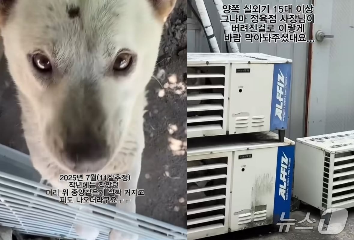 (유튜브 갈무리)