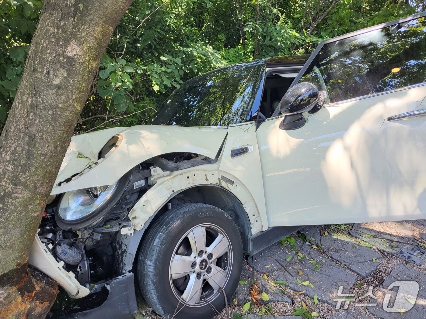 사고 현장(경기도북부소방재난본부 제공. 재판매 및 DB 금지)/뉴스1 