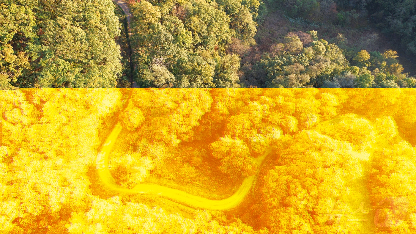 원적산 둘레길 모습.(이천시 제공)