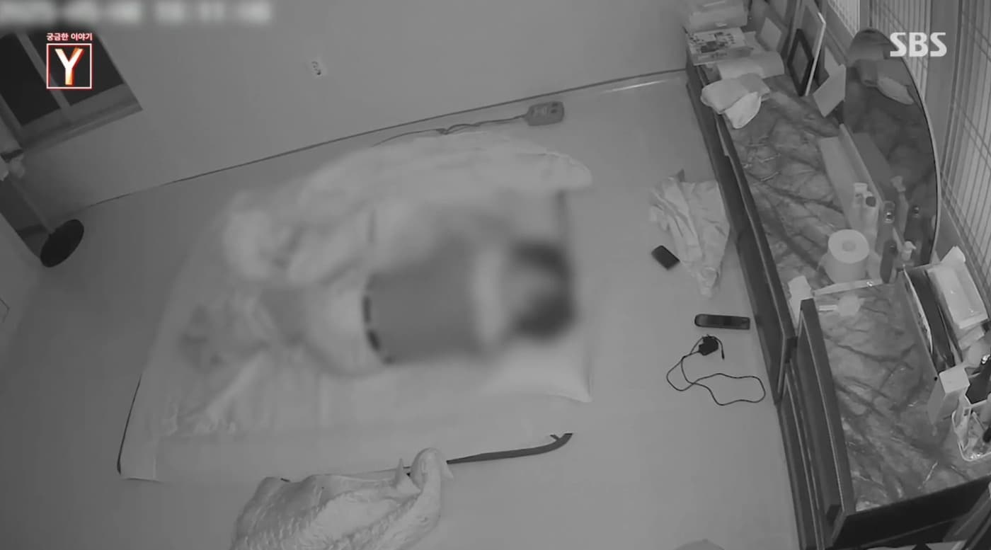 ('궁금한 이야기 Y')