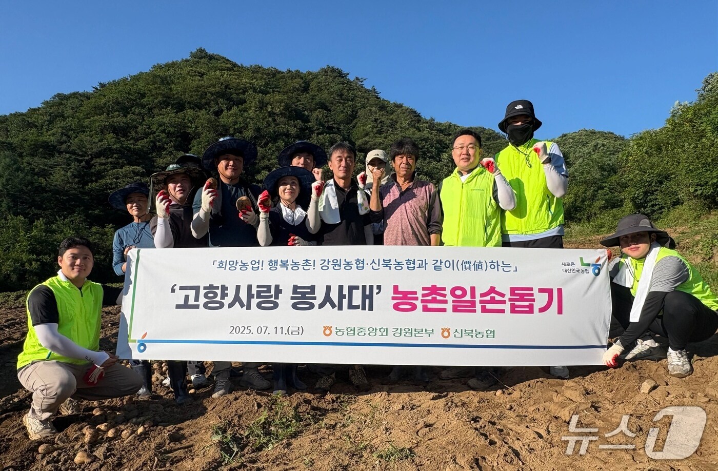 농촌 일손 돕기.&#40;농협 강원본부 제공. 재판매 및 DB금지&#41;/뉴스1