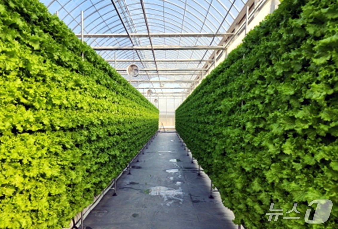 스마트팜 내부 모습.(아산시청 제공. 재판매 및 DB금지)