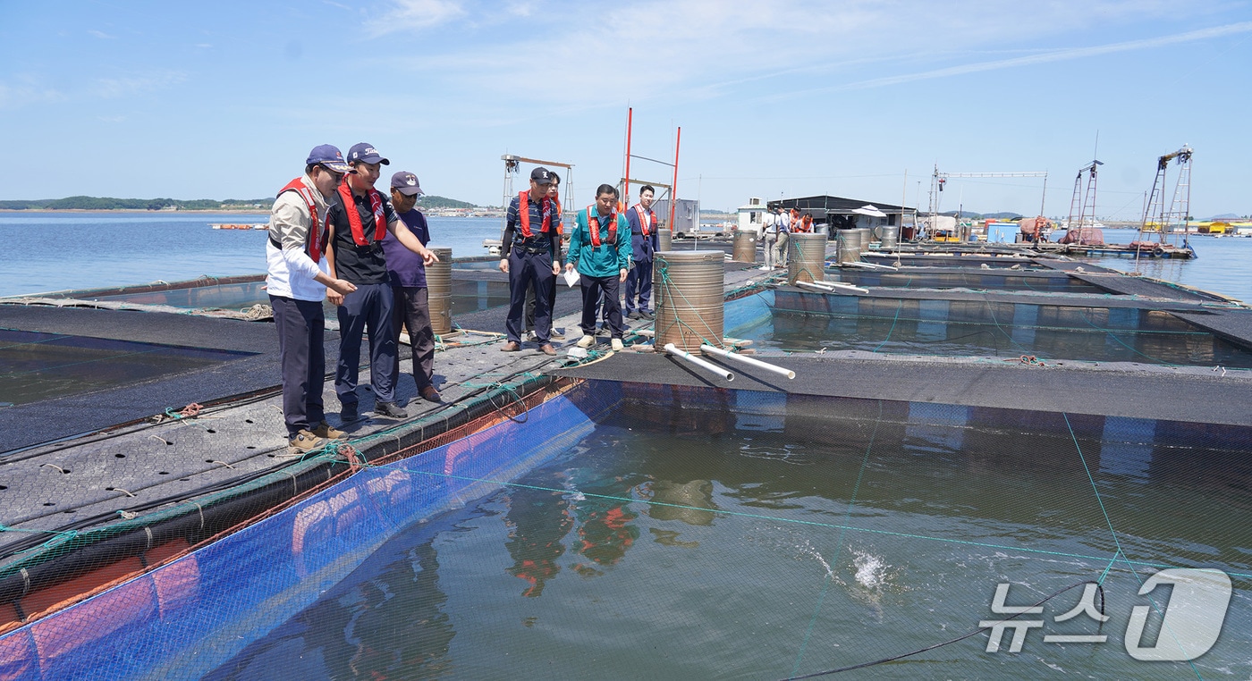 이완섭 서산시장이 부석면 창리 가두리양식장을 현장 점검하고 있다. (서산시 제공. 재판매 및 DB금지)/뉴스1