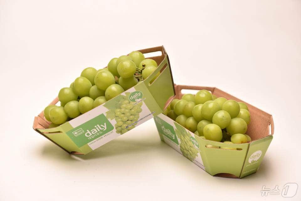 경북도는 14일 대만 유통업체와 업무협약을 맺고 경북 샤인머스캣 수출 확대에 나섰다. ⓒ News1 김대벽기자