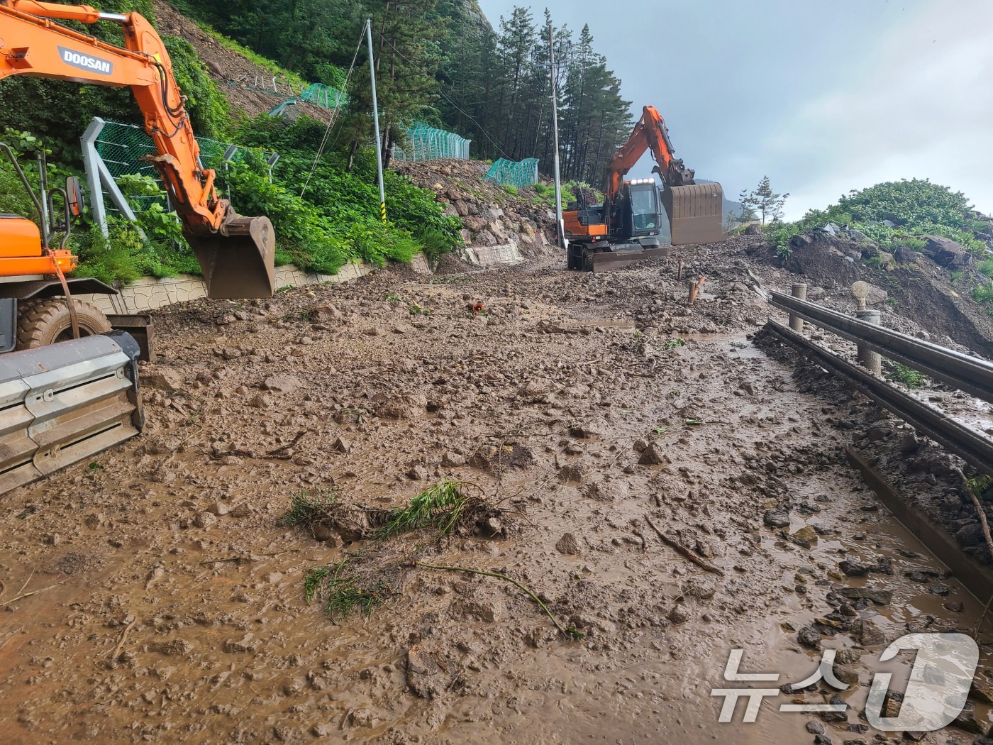 14일 경북 울릉군 현포리 노인봉 도로에서 다량의 낙석과 토사가 흘러내려 교통이 통제됐다. (울릉군 제공, 재판매 및 DB금지) 2025.7.14/뉴스1 ⓒ News1 최창호 기자