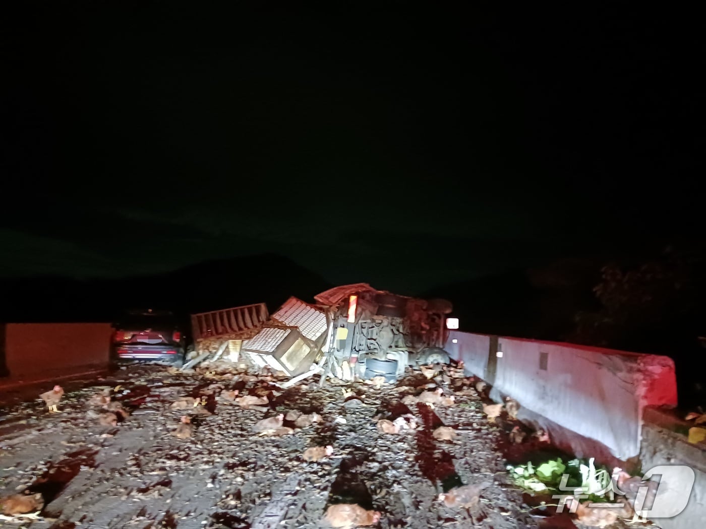 15일 0시10분쯤 경북 문경시 중부내륙고속도로 창원방향 불정터널 인근에서 화물차가 전복돼 닭이 쏟아져 한때 극심한 차량 정체를 보였다.(경북소방본부 제공.재판매 및 DB금지)