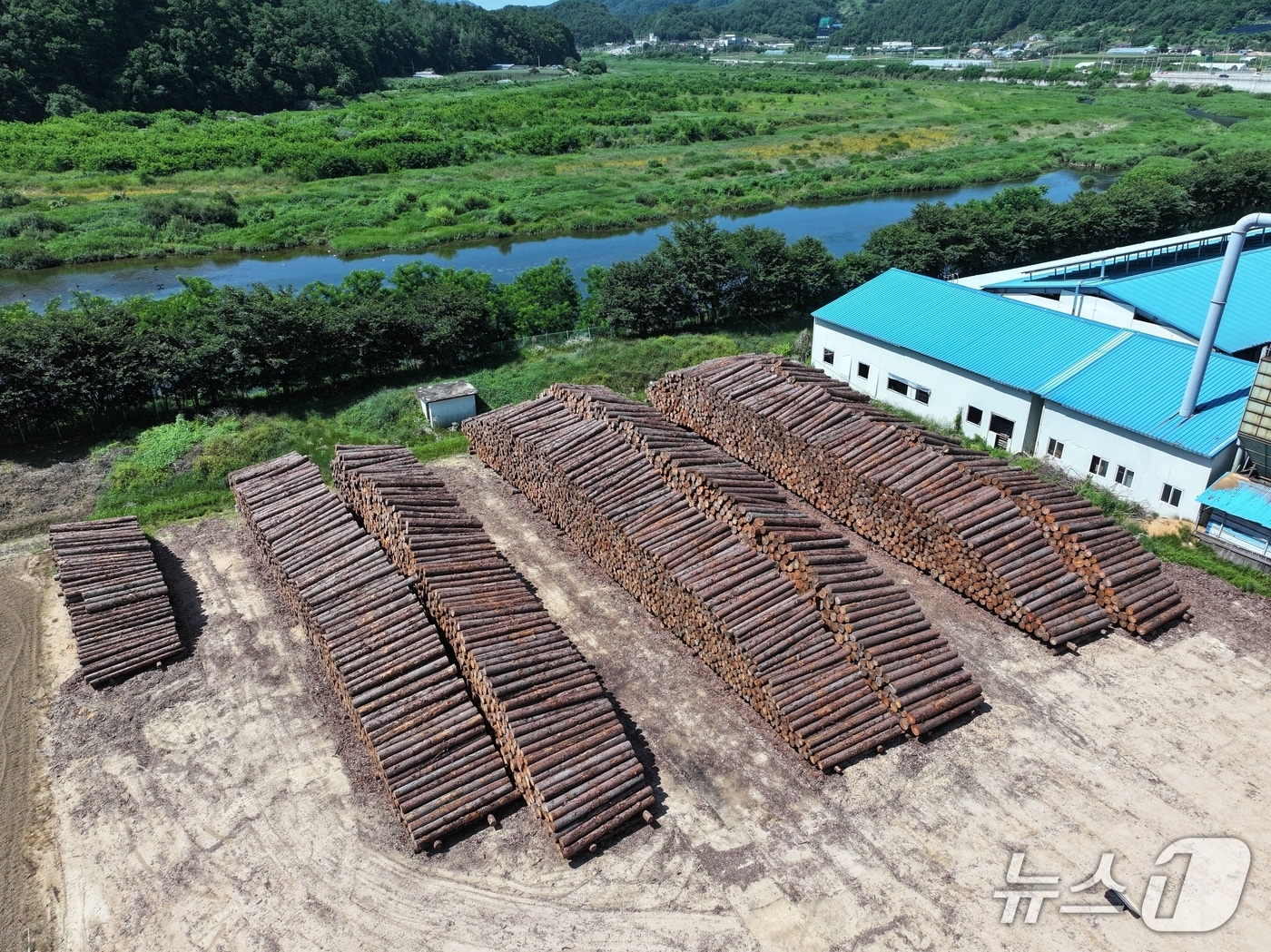 목재집하장 항공사진.(동부산림청 제공, 재판매 및 DB 금지) 2025.7.15/뉴스1