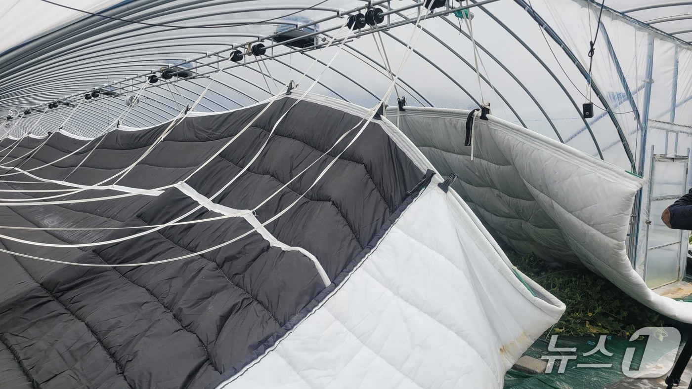 성주군 비닐하우스 현대화 모습 /뉴스1