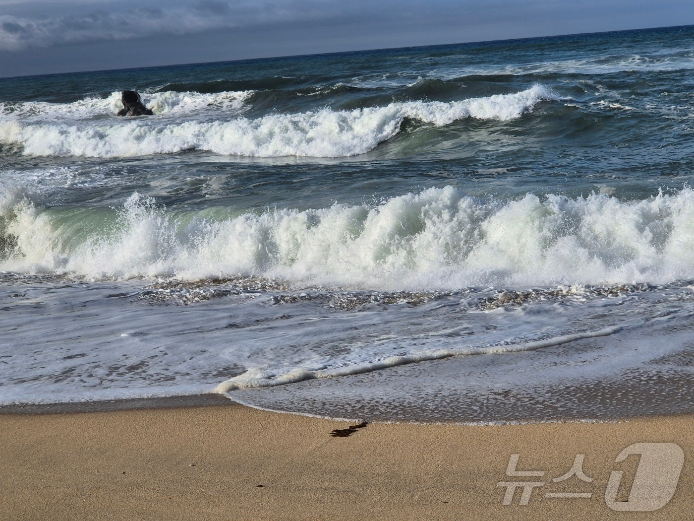 강원 강릉 안목해변에 높은 파도가 일고 있다.(뉴스1 DB)ⓒ News1 윤왕근 기자