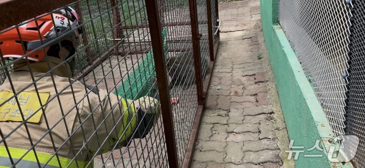 해남소방서 119소방대원이 탈출한 원숭이를 포획하기 위해 달래고 있다.&#40;해남소방서 제공. 재판매 및 DB 금지&#41;