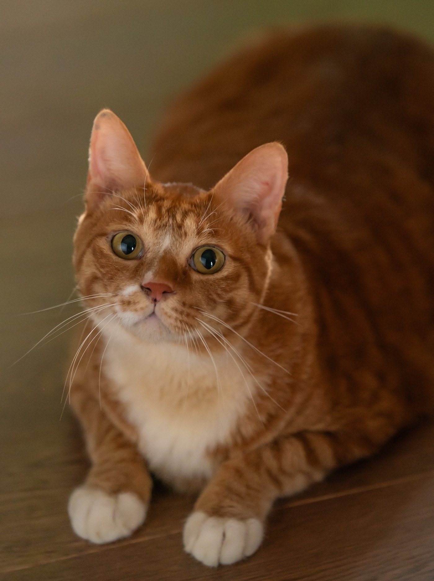 '좀비딸' 애용이 스틸