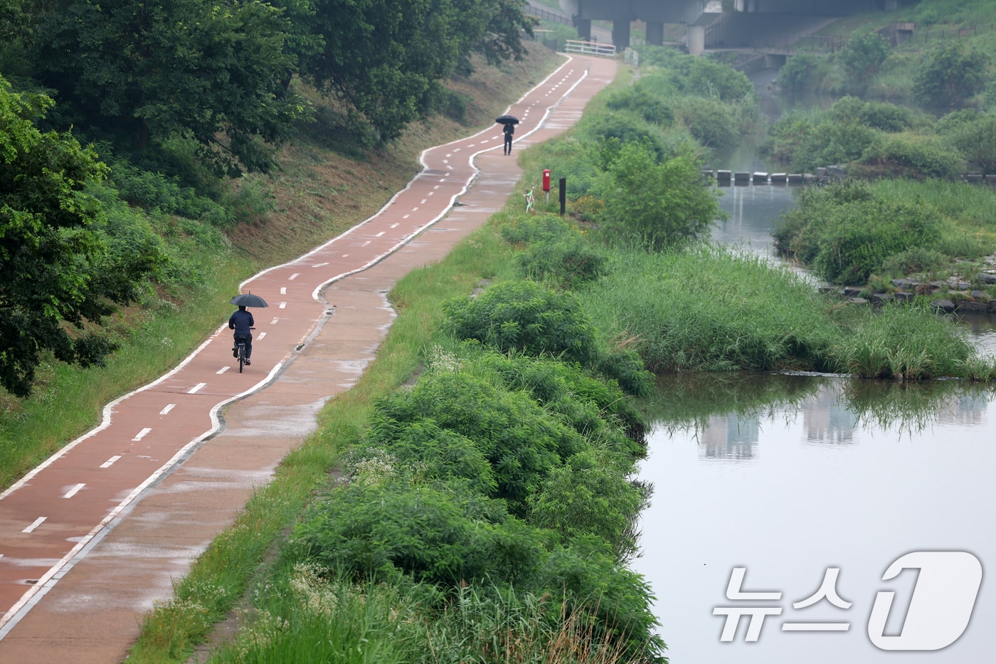 비가 내리는 16일 오전 광주 광산구 풍영정천에서 시민들이 산책하고 있다. 2025.7.16/뉴스1 ⓒ News1 이승현 기자