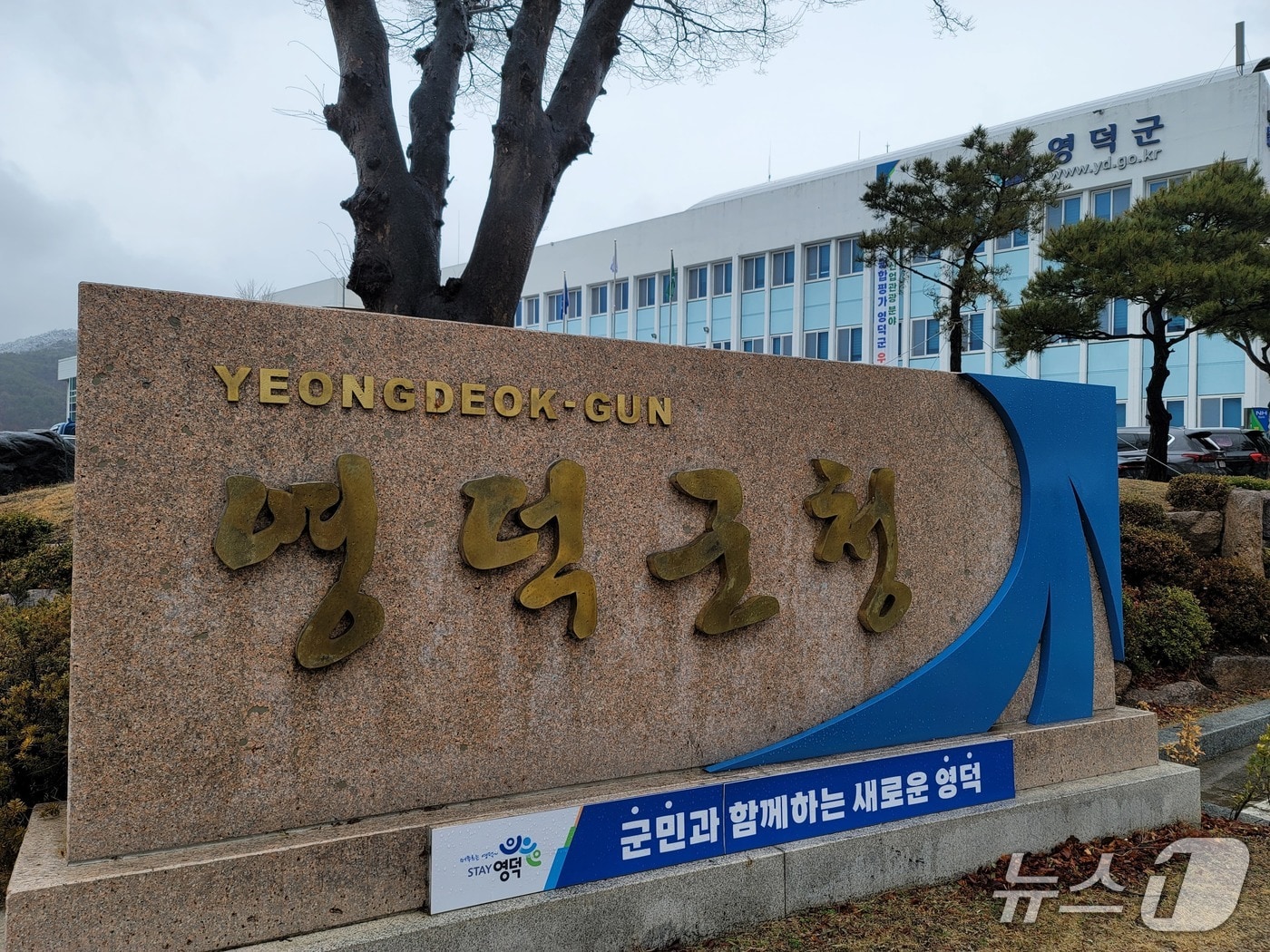 경북 영덕군청 (뉴스1 자료, 제판매 및 DB금지) 2025.7.16/뉴스1 