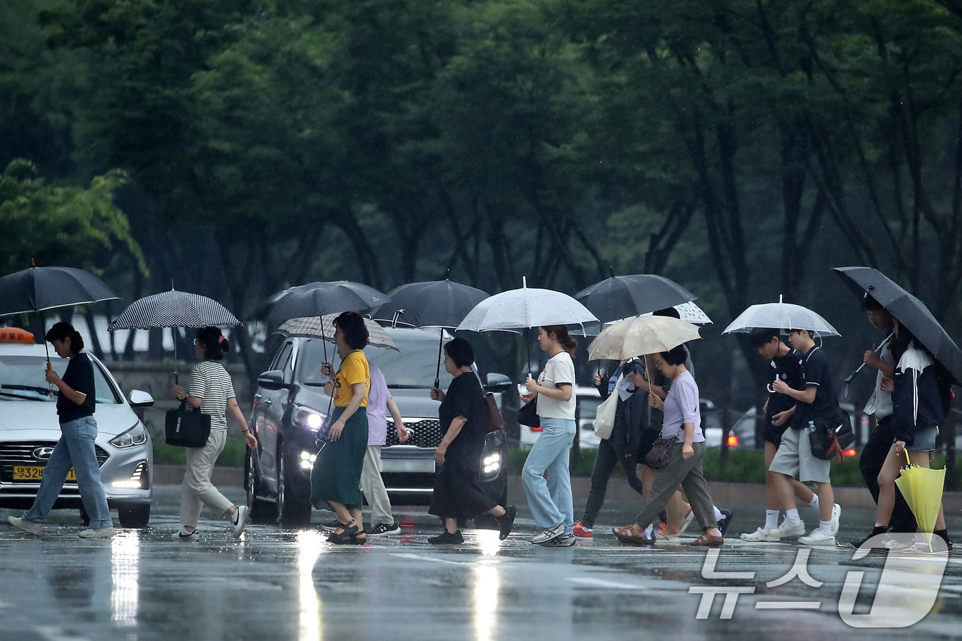 대구 호우 예보 지도