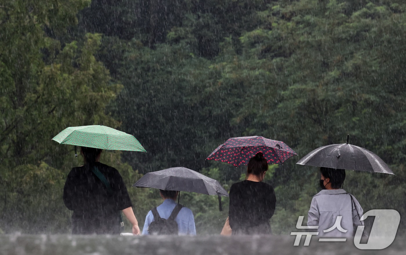16일 오후 서울 서초구 반포동 일대에서 우산을 쓴 시민들이 발걸음을 옮기고 있다. 2025.7.16/뉴스1 ⓒ News1 구윤성 기자