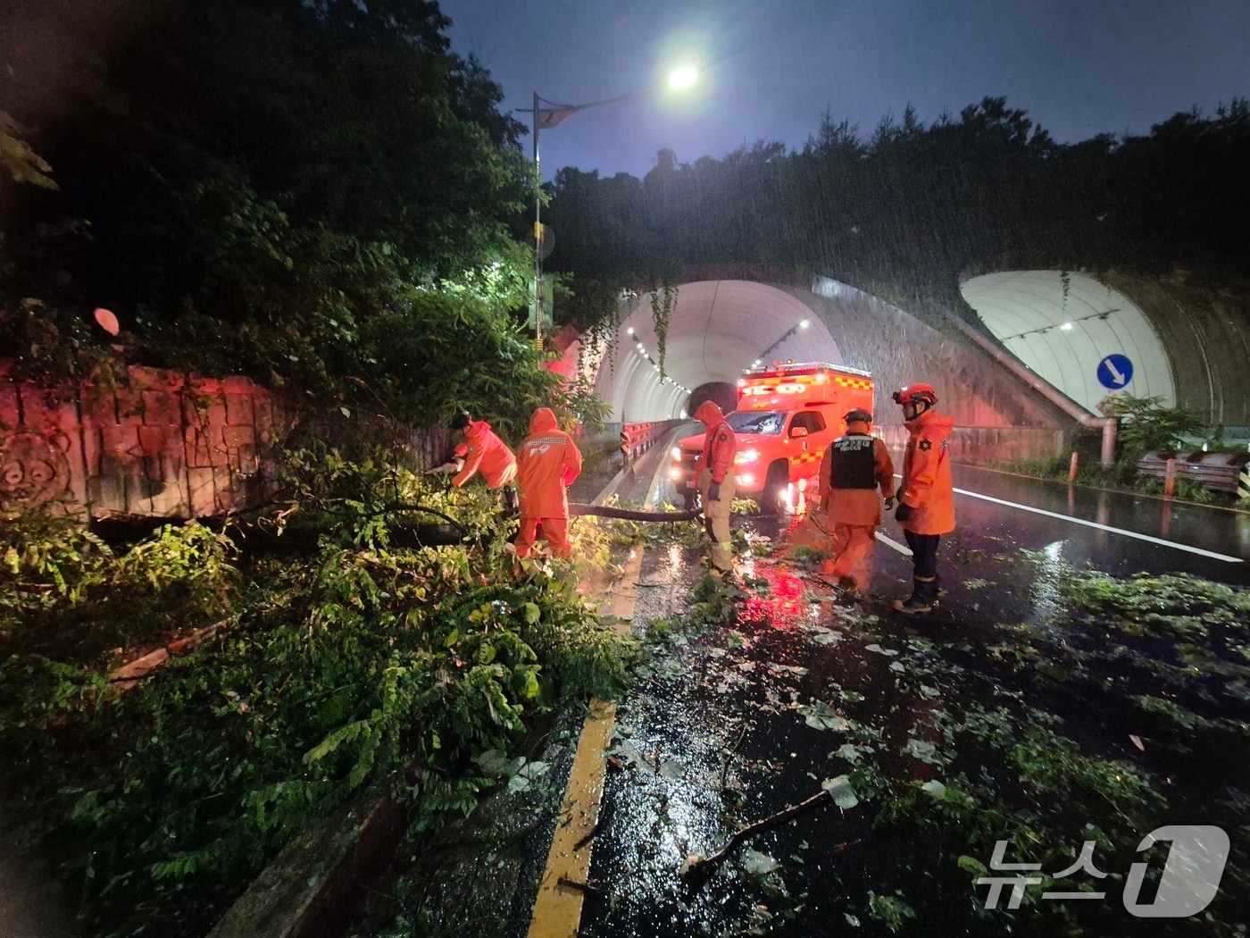 소방당국이 비로 인해 쓰러진 나무들을 정리하고 있다.(인천소방본부 제공. 재배포 및 DB금지)2025.7.16/뉴스1