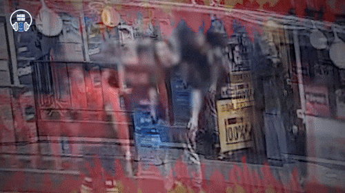 ('서울경찰' 유튜브 갈무리)