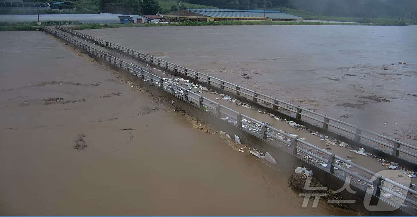 폭우에 잠긴 미호강 성재2교 (독자제공. 재판매 및 DB금지).2025.7.17/뉴스1