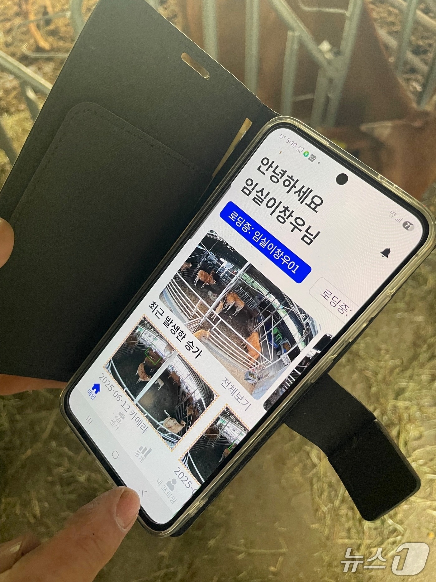 전북임실군 농업기술센터가 영상 기반 인공지능&#40;AI&#41; 기술을 활용한 한우 스마트팜 번식관리시스템 보급 시범 사업을 추진한다.&#40;임실군제공. 재판매 및 DB금지&#41;2025.7.17/뉴스1